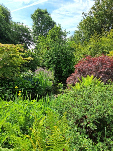 Wainfield